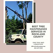 Best Tree Maintenance Services in Rockland County