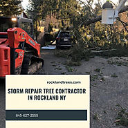 Storm Repair Tree Contractor in Rockland NY |