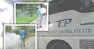 Pest control singapore