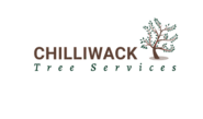 Tree Service Chilliwack BC | Get a Free Quote, 10+ Yrs Exp