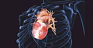Tissue Engineering For Heart Repair | Insights Care