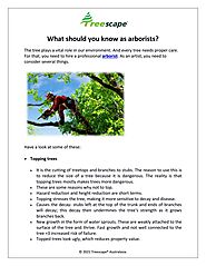 What should you know as arborists by Treescape - Issuu