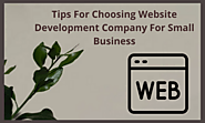 Tips For Choosing Website Development Company For Small Business