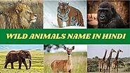 list of 40 Wild Animals Name which you never seen before