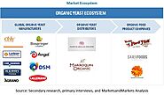 Key players in the Organic Yeast Market