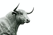 cbdMD: Should You Remain Bullish on this Hemp Stock? | Cannin.com