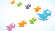 New research sheds light on 13 ways to gain followers on Twitter | Neurobonkers | Big Think