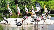 Bird Sanctuaries In Kerala | No 1 b2b travel agent in South India| B2B Travel Agent in Kerala| b2b tour operators in ...