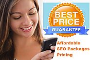 Don't You Know that WebAllWays Provides Best Results With Affordable SEO Packages?