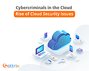 Cybercriminals in the Cloud: Rise of Cloud Security Issues - Sattrix