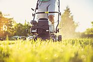 Why Lawn Care and Mowing in Vancouver Is So Important?