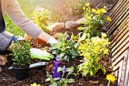 Get Professional Gardening Services in Vancouver