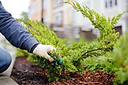 The Best Ways to Improve Landscaping in Burnaby