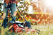Tips Regarding Lawn Care and Mowing in Vancouver