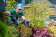 Simple Guidance For Landscaping In Burnaby