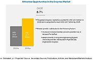 Enzymes Market Insights with Trends and Future Opportunities