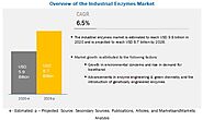 Industrial Enzymes Market – Emerging Industry Trends and Major Leaders