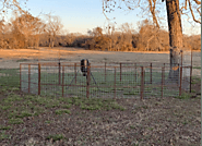 Best hog trap door trigger in texas