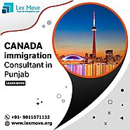 Lex Move - Best Immigration Consultant in Delhi - Google Search