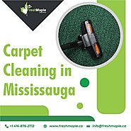 Tired Of Pet Stains On Your Carpet? – Carpet Cleaning In Mississauga