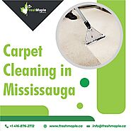 You deserve Trustworthy Professionals for Carpet Cleaning in Mississauga.