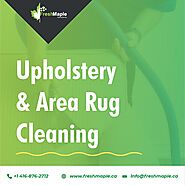 Upholstery & Area Rug Cleaning Professionals are Waiting for You