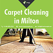 Long-Lasting and Trustworthy Professional Services for Carpet Cleaning in Milton