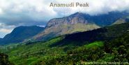 Anamudi peak