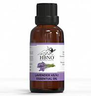 Buy Now! Lavender 40/42 Essential Oil from Manufacturers and Supplier