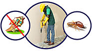 Are You Looking for Reliable Tips to Help Ensure Effective Termite Control