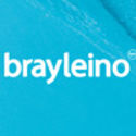 Leading UK integrated communications group | Bray Leino