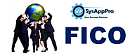 Why do I become a SAP-FICO professional?