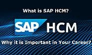 What is SAP HCM and Why it is Important in Your Career?