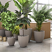 Buy pots and planters online