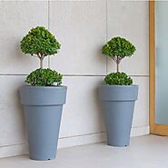 Small pots for indoor plants