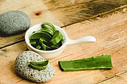 How To Use Aloe Vera For Erectile Dysfunction - Blue Kama