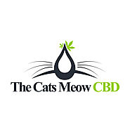 Can CBD Boost Your Immune System? | The Cat's Meow CBD