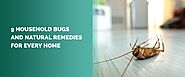 9 Natural Remedies for Household Pests and Bugs - MDX Concepts