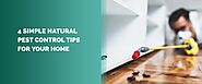4 Tips To Keep Your Home Free of Pests | Pest Prevention Tips — MDX Concepts