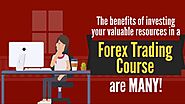 best forex trading course