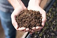 8 Tips to Improve Soil Quality of Your Garden
