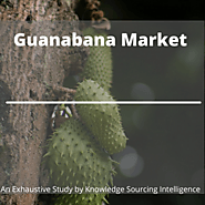 Guanabana Market is expected to grow at a CAGR of 4.31% by 2025