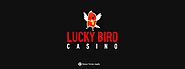 Lucky Bird Casino: Get 50 Free Spins No Deposit! » No Deposit Pokies: Free Online Pokies Bonuses!
