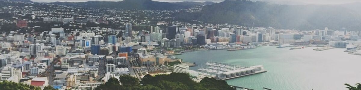 Headline for Amazing Places to Visit in Wellington
