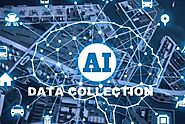 Best AI Data Collection Company