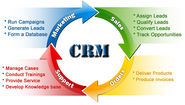Custom CRM Solutions from CodeWebber