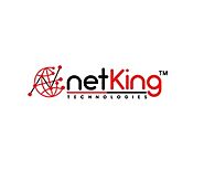Website at https://www.netkingtechnologies.com/digital-marketing-india/