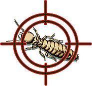 Effective Ways of Rodent and Bug Control