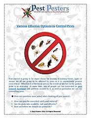 Various Effective Options of Pest Control