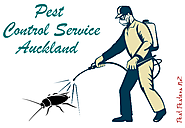 Use Least Toxic Method To Prevent Pest